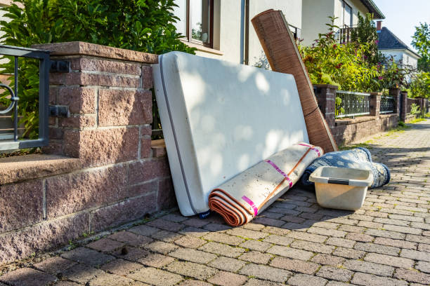 Best Professional Junk Removal  in Laingsburg, MI